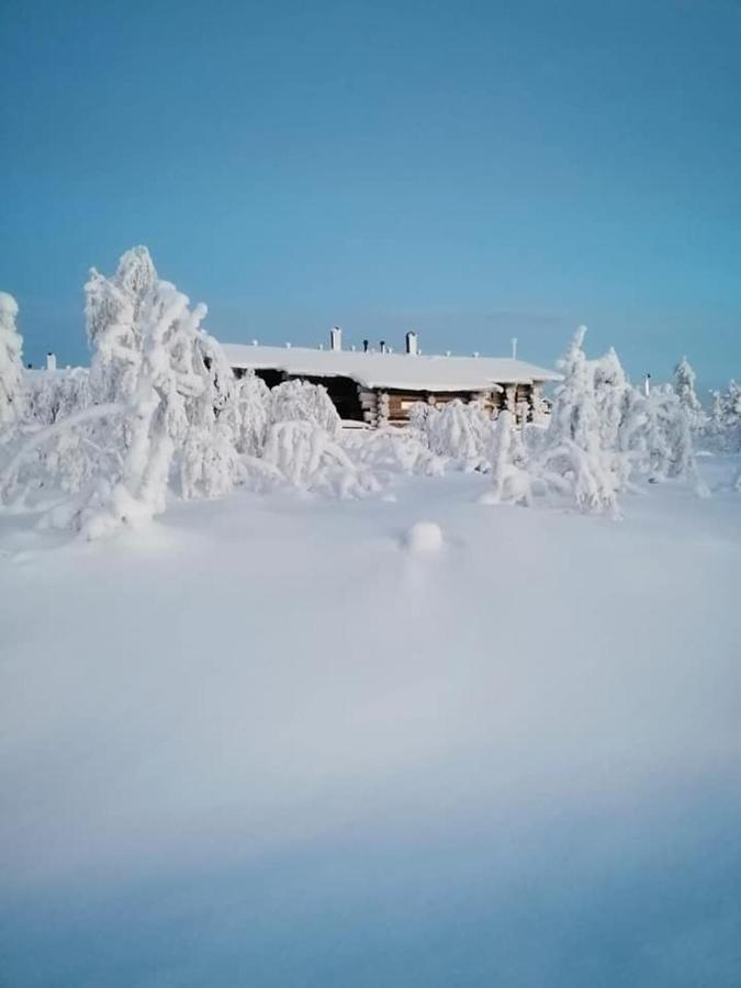 Sielikkoe Aurora Log Apartments Саариселькя Экстерьер фото